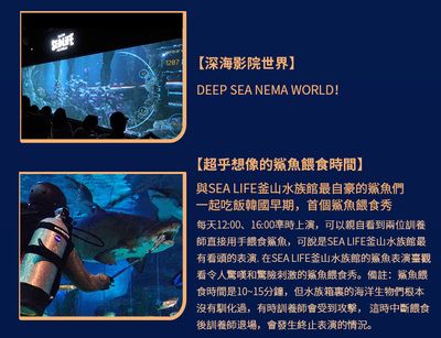 水族館是什么意思？（水族館不僅是展示水生生物的場(chǎng)所，也是一個(gè)重要的教育和科研機(jī)構(gòu)） 水族館百科（水族館加盟） 第4張