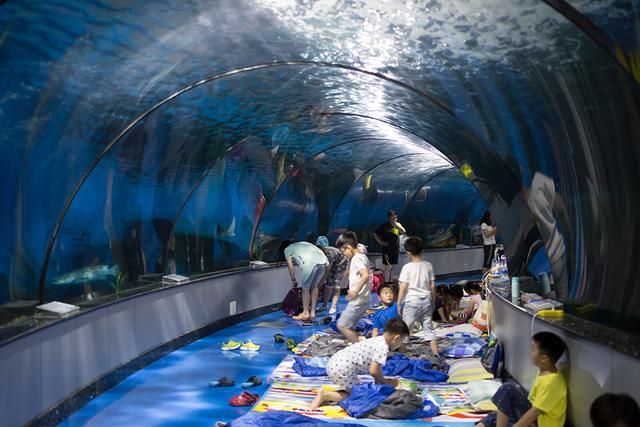 水族館游玩（三亞亞特蘭蒂斯水族館）