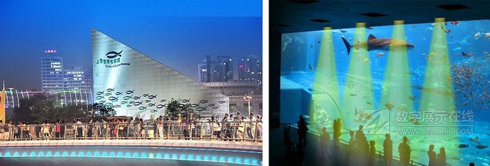 水族館建設方案（關于水族館建設方案的詳情）