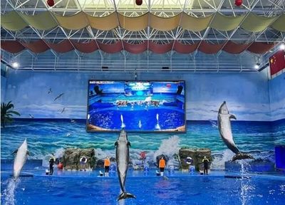 水族館建設方案（關于水族館建設方案的詳情）