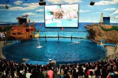 水族館建設方案（關于水族館建設方案的詳情）