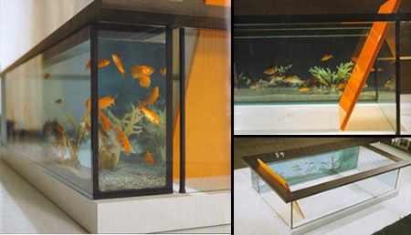 水族館是做什么的?。ㄊ澜缟系谝粋€供展覽用的水族館是一個多功能的機構(gòu)） 水族館百科（水族館加盟） 第5張