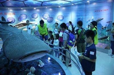 水族館里100種動物名稱和特點（水族館的動物名稱及其特點）