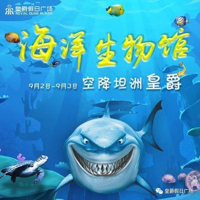 水族館開業(yè)送什么好（三湖慈鯛養(yǎng)殖技巧分享：水族館開業(yè)時(shí)贈(zèng)送合適的禮物）