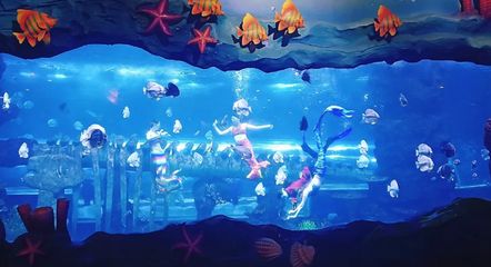 最大水族館（世界上最大的水族館——上海海洋水族館） 水族館百科（水族館加盟） 第1張