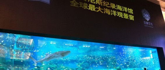 最大水族館（世界上最大的水族館——上海海洋水族館） 水族館百科（水族館加盟） 第2張