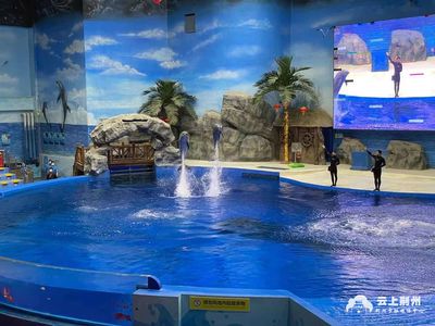 水族館好玩嗎現(xiàn)在還能去嗎（上海海洋水族館是一個適合各個年齡段游客的旅游目的地） 水族館百科（水族館加盟） 第1張