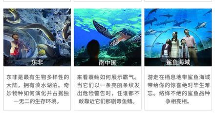 水族館起什么名字霸氣點（水族館名字應該體現出其獨特的魅力和特色，同時要易于記憶、發(fā)音清晰）