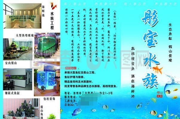 水族館什么牌子好（水族館品牌創(chuàng)新技術展示水族館品牌創(chuàng)新技術展示） 水族館百科（水族館加盟） 第5張