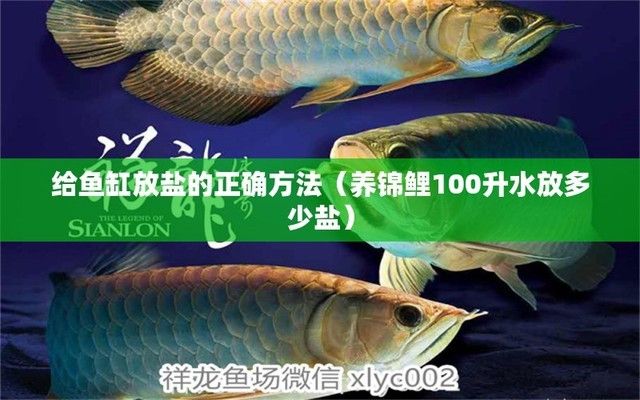 給龍魚下鹽水比（如何給龍魚下鹽水） 龍魚百科 第1張