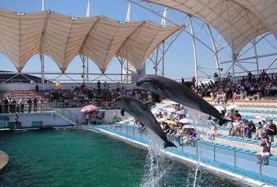 北戴河有水族館嗎（北戴河新澳海底世界游玩攻略） 水族館百科（水族館加盟） 第4張