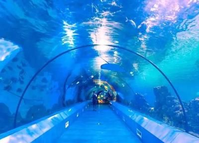 水族館生意不好（探討水族館生意不佳的原因） 水族館百科（水族館加盟） 第4張