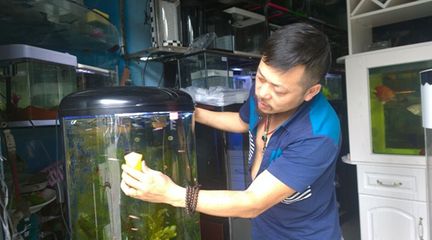 水族館生意不好（探討水族館生意不佳的原因）