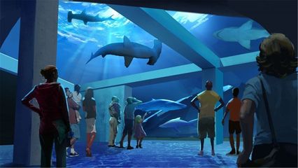 水族館行業(yè)表述（中國水族館行業(yè)發(fā)展前景如何？） 水族館百科（水族館加盟） 第5張