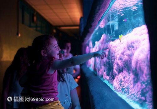 水族館多大帶去看有意義（帶孩子參觀水族館是一個寓教于樂的活動） 水族館百科（水族館加盟） 第2張