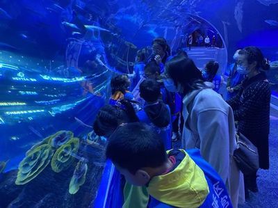 水族館多大帶去看有意義（帶孩子參觀水族館是一個(gè)寓教于樂的活動）