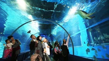 水族館多大帶去看有意義（帶孩子參觀水族館是一個寓教于樂的活動） 水族館百科（水族館加盟） 第4張