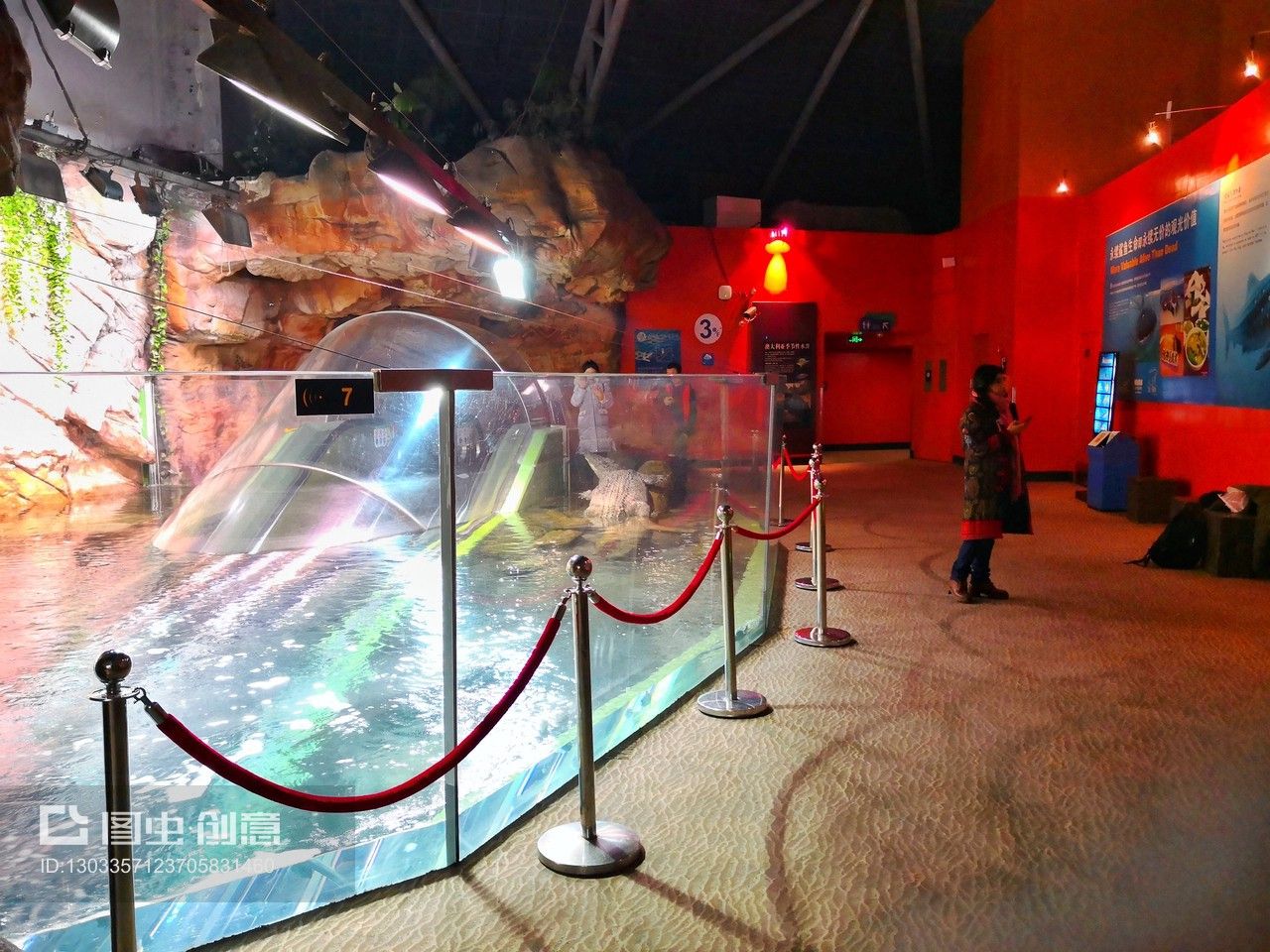 水族館里面都有什么魚（水族館中常見的魚類） 水族館百科（水族館加盟） 第4張