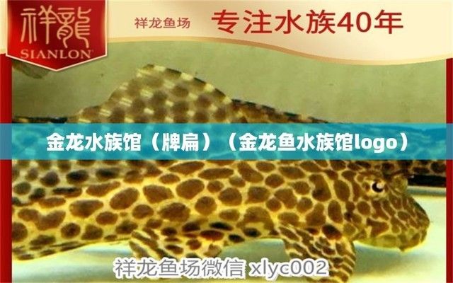 水族館牌子圖片高清（水族館圖標(biāo)、水族館logo、水族館門頭樣式圖片信息）