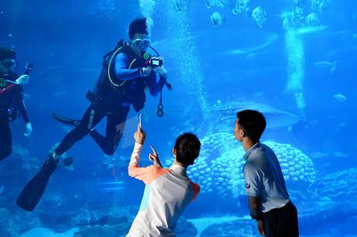 水族館要辦什么執(zhí)照（開設水族館所需的主要執(zhí)照和證件） 水族館百科（水族館加盟） 第3張