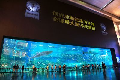 水族館要辦什么執(zhí)照（開設(shè)水族館所需的主要執(zhí)照和證件） 水族館百科（水族館加盟） 第5張