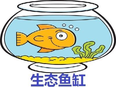 水族館加盟店排行榜及價格表最新（2018水族館加盟店排行榜及價格表） 水族館百科（水族館加盟） 第3張