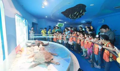 水族館的名字大全（全球各地的水族館及其名稱） 水族館百科（水族館加盟） 第4張