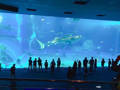 水族館的名字大全（全球各地的水族館及其名稱） 水族館百科（水族館加盟） 第1張