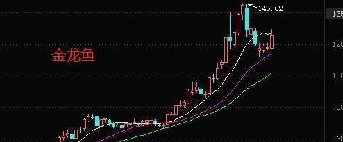 金龍魚未來走勢（金龍魚未來的走勢分析） 龍魚百科 第2張