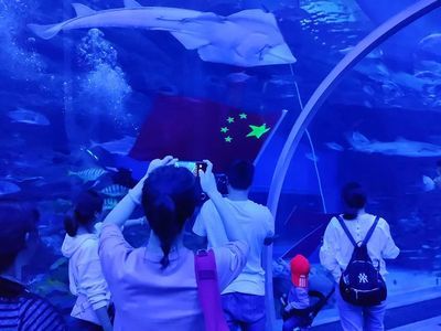 水族館館長收入（水族館館長的收入受多種因素影響水族館館長的收入受多種影響）