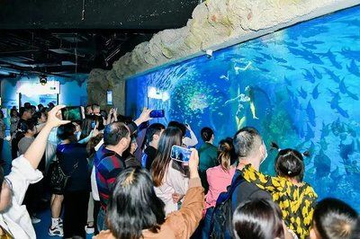 水族館館長收入（水族館館長的收入受多種因素影響水族館館長的收入受多種影響） 水族館百科（水族館加盟） 第2張