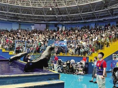 水族館館長收入（水族館館長的收入受多種因素影響水族館館長的收入受多種影響） 水族館百科（水族館加盟） 第5張