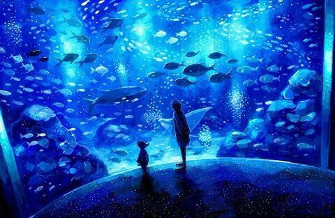 水族館加盟代理怎么樣（上海水族館加盟成功案例分享） 水族館百科（水族館加盟） 第5張