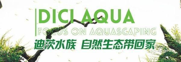 水族館餐廳造價(jià)標(biāo)準(zhǔn)（水族館餐廳的造價(jià)標(biāo)準(zhǔn)） 水族館百科（水族館加盟） 第3張