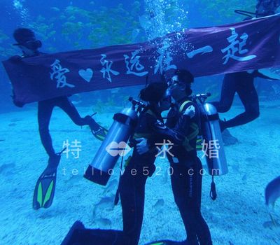 水族館開業(yè)祝福語（水族館開業(yè)活動策劃：如何撰寫開業(yè)祝福語,水族館營銷策略案例） 水族館百科（水族館加盟） 第1張