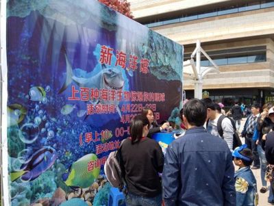 水族館游玩評價語（關(guān)于水族館游玩評價語的詳細(xì)信息） 水族館百科（水族館加盟） 第2張