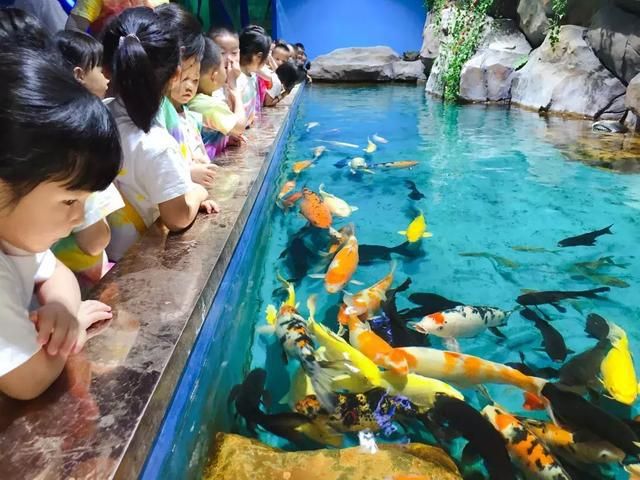 水族館游玩評價語（關(guān)于水族館游玩評價語的詳細(xì)信息） 水族館百科（水族館加盟） 第4張