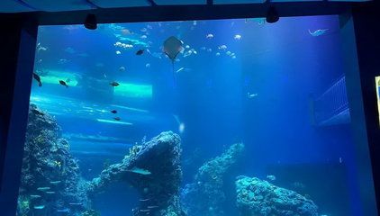 水族館布局