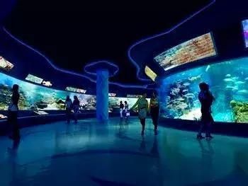 水族館布局