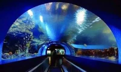 水族館前景（水族館前景分析） 水族館百科（水族館加盟） 第4張