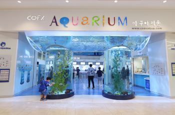 水族館好玩嗎？（三亞亞特蘭蒂斯水族館拍照攻略水族館親子游的互動體驗）