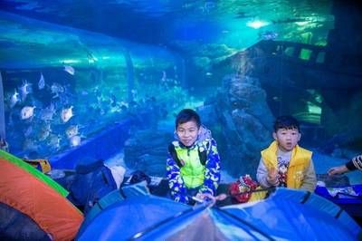 水族館搭建（關(guān)于水族館搭建的詳情） 水族館百科（水族館加盟） 第5張