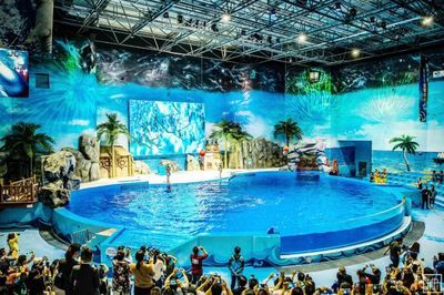 水族館搭建（關(guān)于水族館搭建的詳情） 水族館百科（水族館加盟） 第2張