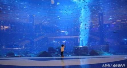 水族館開在什么地方合適呢（哈密水族館的選址應考慮交通便利性、周邊環(huán)境以及成本效益）