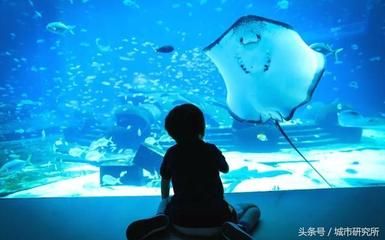 水族館開在什么地方合適呢（哈密水族館的選址應考慮交通便利性、周邊環(huán)境以及成本效益）