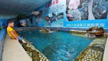 游戲 水族館 捉魚（《水族館》游戲介紹）