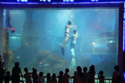 水族館投資大概多少錢一個月呢（水族館投資成本） 水族館百科（水族館加盟） 第5張