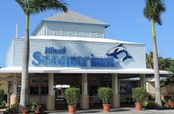 水族館開放時(shí)間表（三亞亞特蘭蒂斯失落的空間水族館） 水族館百科（水族館加盟） 第4張