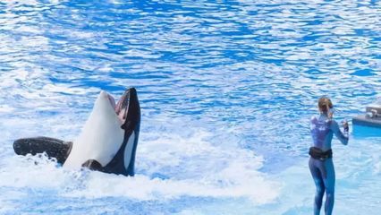 開個水族館的艱難生活（開一個水族館的艱難生活）