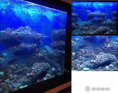 水族館魚缸廠家地址（多個水族館魚缸廠家的詳細(xì)地址） 水族館百科（水族館加盟） 第5張